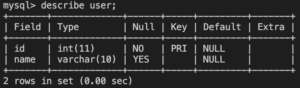 sql-describe